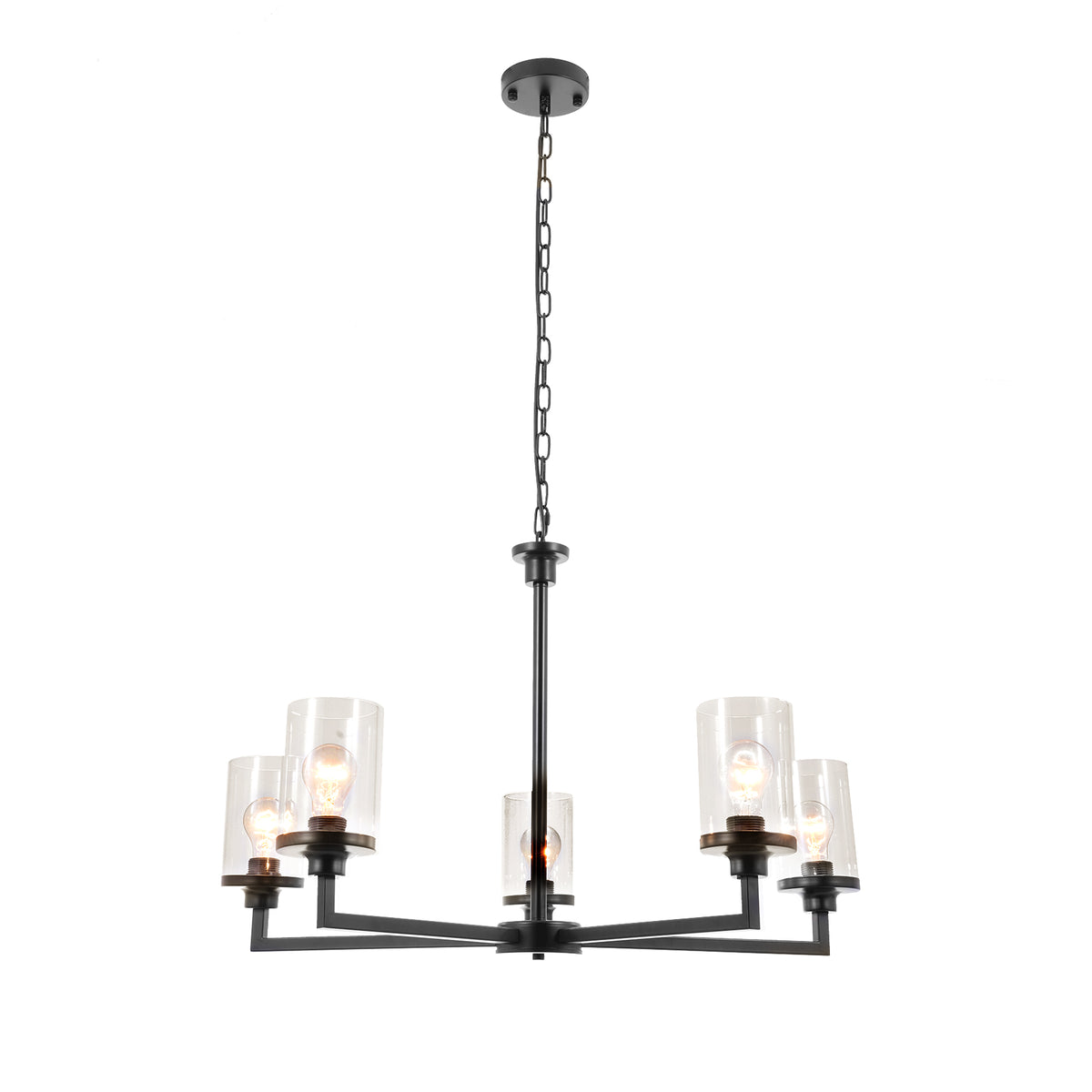 5-Light Traditional Chandelier DY73)