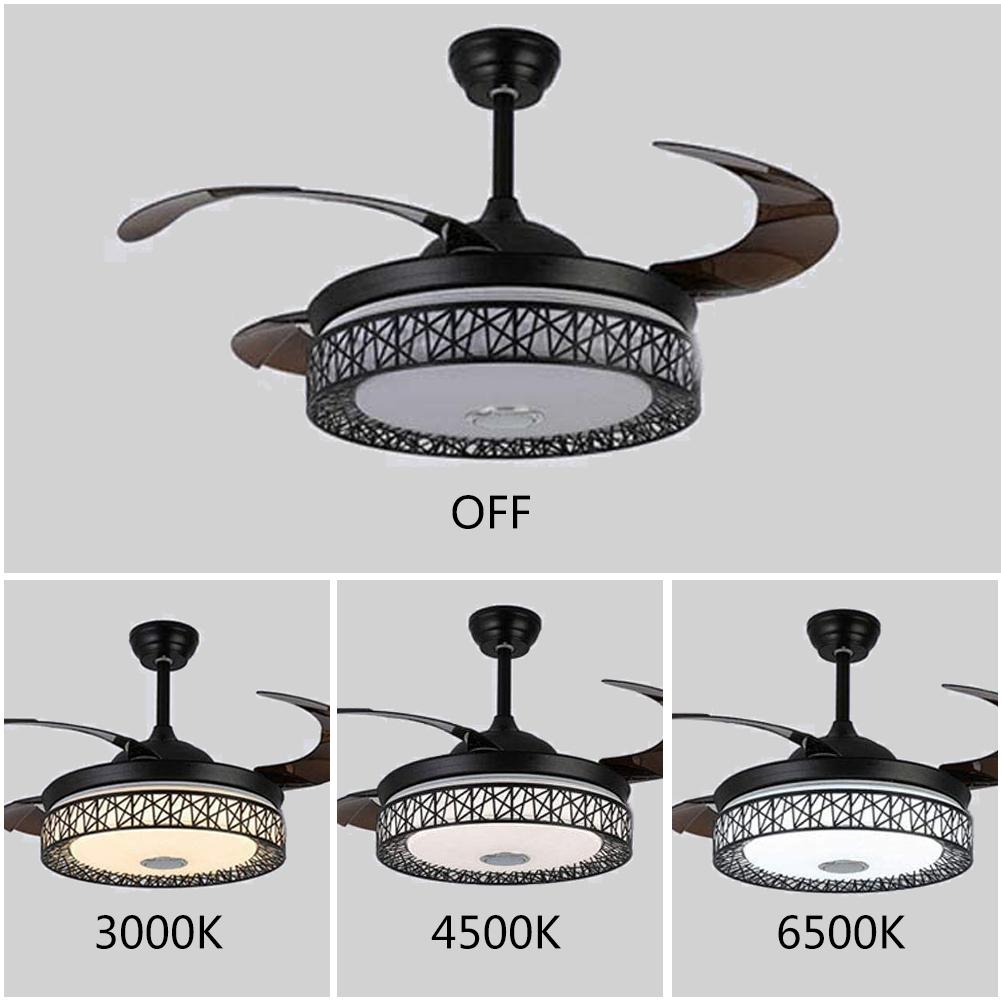 42" Black Bird's Nest Colorful Dimming Bluetooth Fan with Light DS-FZ161